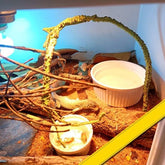 Jungle Vines Flexible Pet Habitat Decor, Perfect for Chameleons Snakes Lizards